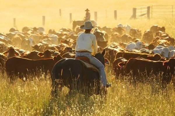 Agribusiness